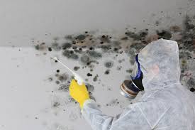 Best Comprehensive Air Testing for Mold Contaminants in Latham, NY